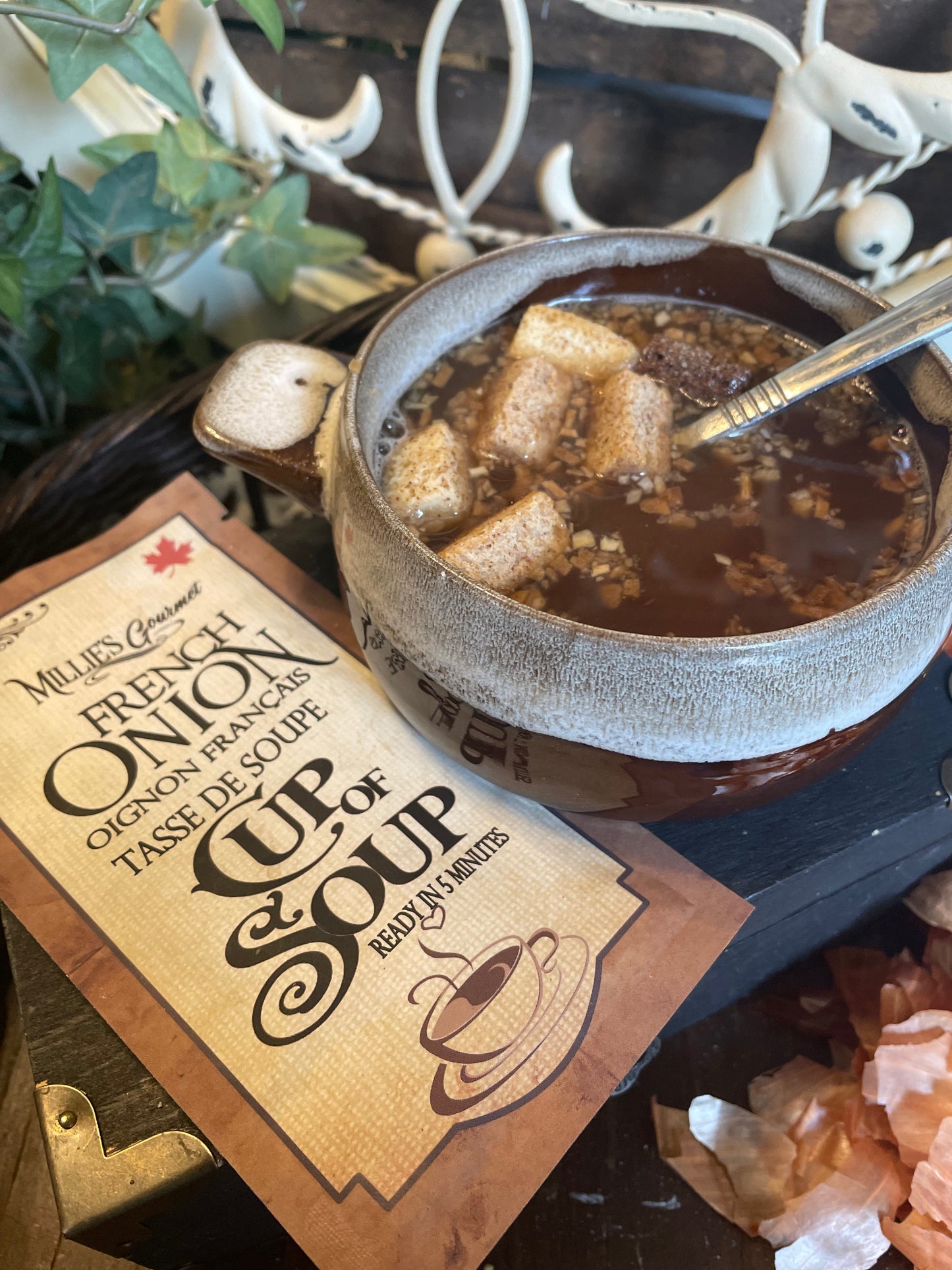 French Onion Cup of Soup Wholesale Case of 18